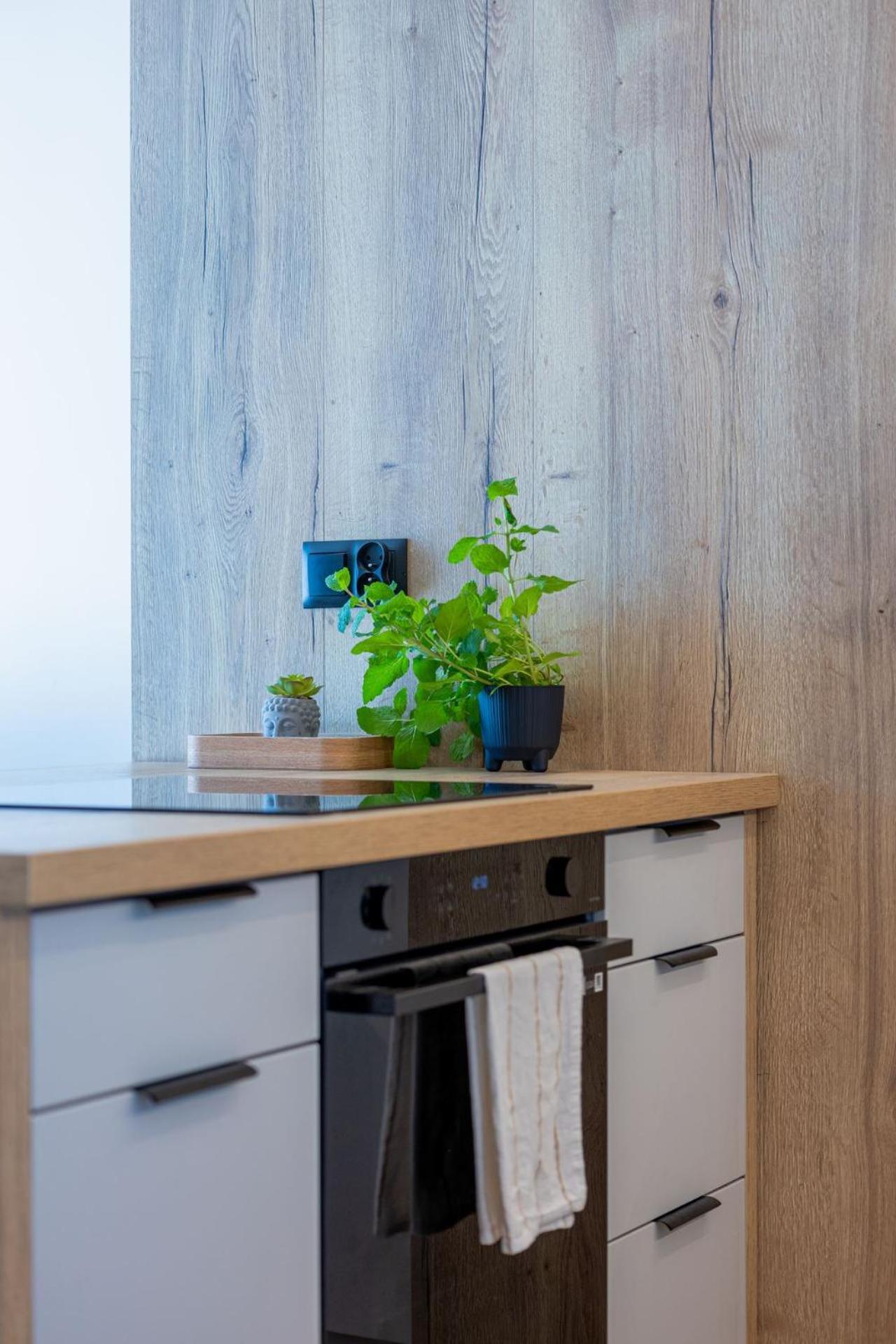 Vip Apartament Kopisto Centrum Rzeszów Kültér fotó